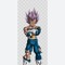 big dragon ball fan