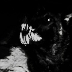 canadiandogteeth