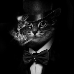 Pussy Magnet