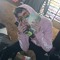 trippy.mikey7