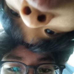Hafphly