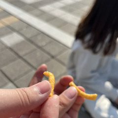 임보민