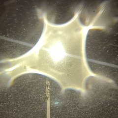 NEONARCISS