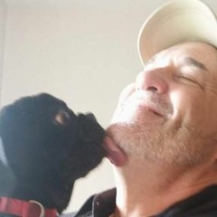 Kingston Guitar Coach