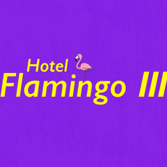 Hotel Flamingo Ⅲ