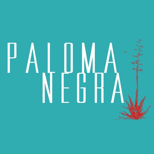 PALOMA NEGRA’s avatar