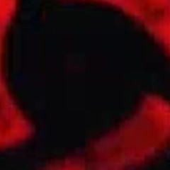 479
