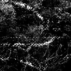 Subverse Events