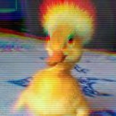 i'm Duck