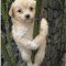 Its Lumine