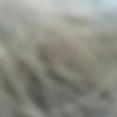 Cal_pat