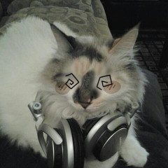 Cino