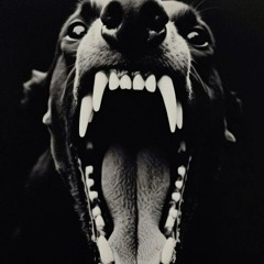 BLVCK MUSIC