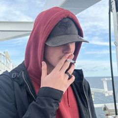 dejviik11