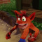 familiar bandicoot