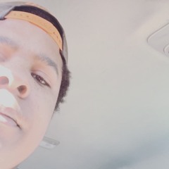 Colbee_Hive