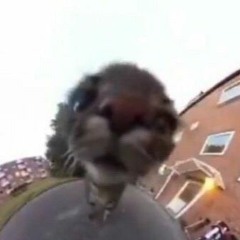 luwvuuuu
