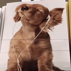 whoami