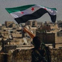 🇵🇸