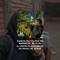 MINERINHO 244 🤪🔺️🧀
