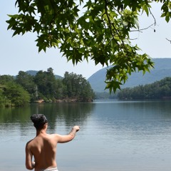 mossneedle