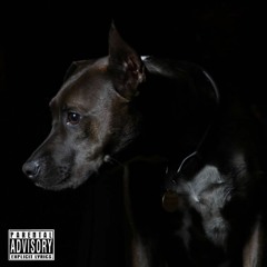 Big Dog