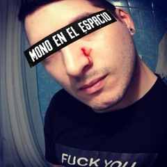 Mono en el Espacio