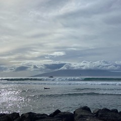 You Girl - Wesley Martinez