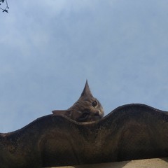 Javier Alberto Gimenez