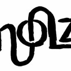 HOLZ