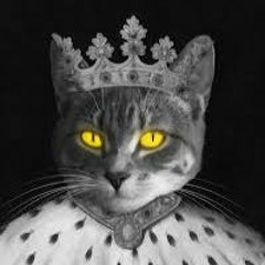 king_cat