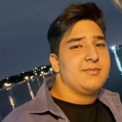 parsa Aalaei