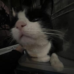 kody!