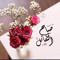 mohamed elreedy