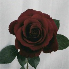 ░░▒▓⇸ℜ∀W⇷▓▒░░