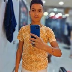 اسامه البحراوى