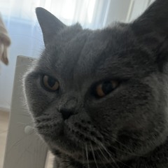 kasper (@kasper2005)