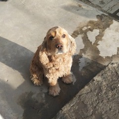 ЖЕКА В ТЕМЕ