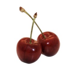 밈뷰