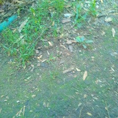 hhfffgjihfdddghdxdyjjfxfhjbxddghnnnfsssddddyhhhhhh