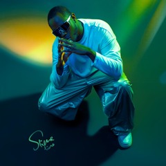 SLIMETINO
