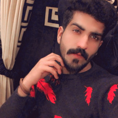 chaudhary Hunzala
