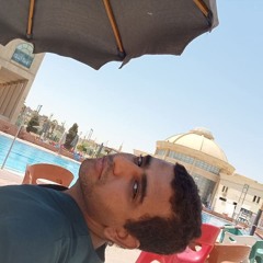 Mostafa Eltorky