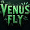 Venus Fly (@venusfly.xo)