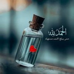 Hady Hesham