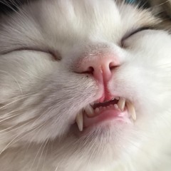 Black Crow (the lower the volume EP)