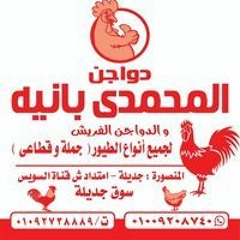 محمد سعد المحمدي المحمدي