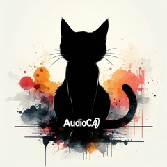 AudioC@