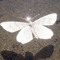 godspeed ++**