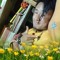 Sonam Jamtsho